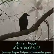 Постер книги Чего не могут боги