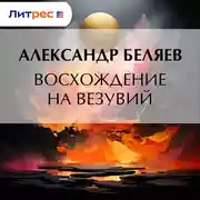 Постер книги Восхождение на Везувий