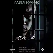 Постер книги 13 лет Теней