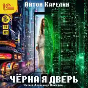 Постер книги Чёрная дверь