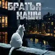 Постер книги Братья наши