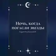 Постер книги Ночь, когда погасли звезды