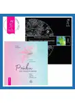 Вадим Зеланд - Рэйки для гармонизации: чакр, кармы, тонких тел. Трансерфинг реальности. Ступень I: Пространство вариантов