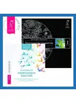 Вадим Зеланд - Избавление от навязчивых мыслей: Руководство по преодолению стресса и тревоги. Трансерфинг реальности. Ступень I: Пространство вариантов