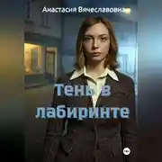 Постер книги Тень в лабиринте