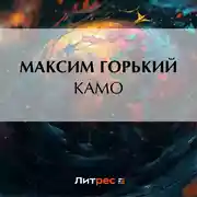Постер книги Камо