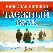Постер книги Таежный волк