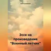 Постер книги Эссе на произведение «Военный летчик»