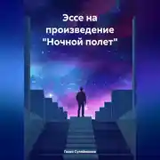 Постер книги Эссе на произведение «Ночной полет»