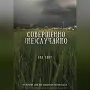 Постер книги Совершенно (не)случайно