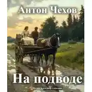 Постер книги На подводе