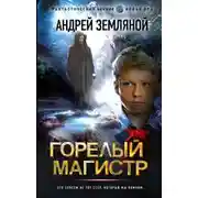 Постер книги Горелый магистр