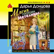 Постер книги Магия госпожи Метелицы