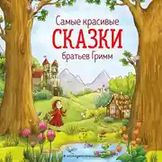 Постер книги Cамые красивые сказки братьев Гримм