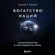 Постер книги Богатство наций: электричество и потребности мира