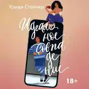 Постер книги Идеальное совпадение