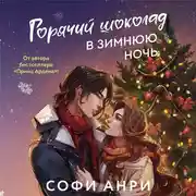 Постер книги Горячий шоколад в зимнюю ночь