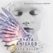 Постер книги Книга ангелов
