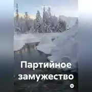 Постер книги Партийное замужество