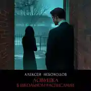 Постер книги Ловушка в школьном расписании