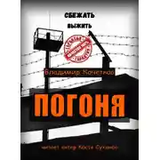 Постер книги Погоня