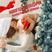 Постер книги Новогодний подарок