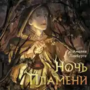 Постер книги Ночь пламени