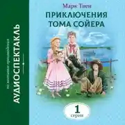 Постер книги Приключения Тома Сойера. 1 Серия