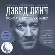 Постер книги Поймать большую рыбу. Медитация, осознанность, творчество