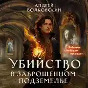 Постер книги Убийство в заброшенном подземелье