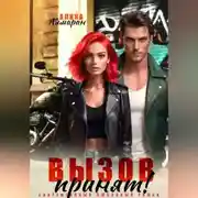 Постер книги Вызов принят!