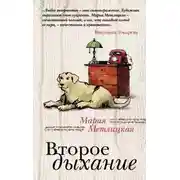 Постер книги Куриный бог