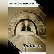 Постер книги Тоннель