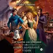 Постер книги Три дракона для попаданки. Хозяйка заброшенной усадьбы