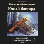 Постер книги Юный бастард