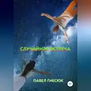 Постер книги Случайная встреча