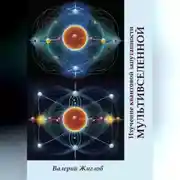 Постер книги Изучение квантовой запутанности Мультивселенной