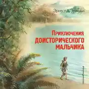 Постер книги Приключения доисторического мальчика