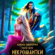 Постер книги Пара для некромантки