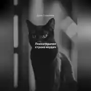 Постер книги Психотерапия страха неудач