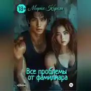 Постер книги Все проблемы от фамильяра
