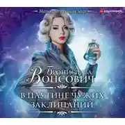 Постер книги В паутине чужих заклинаний