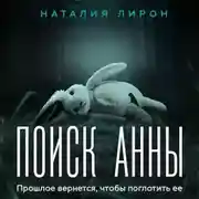 Постер книги Поиск Анны