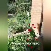 Постер книги Марьянино лето