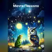 Постер книги Мечта Пикколо