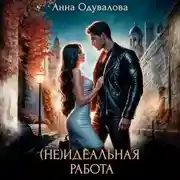 Постер книги (Не)идеальная работа