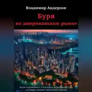 Постер книги Буря на американском рынке