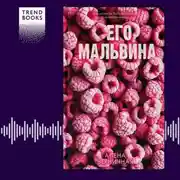 Постер книги Его Мальвина