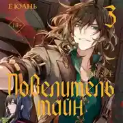 Постер книги Повелитель тайн. Книга 3