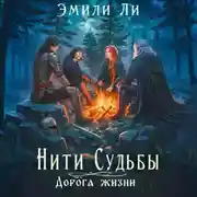 Постер книги Нити судьбы. Дорога жизни